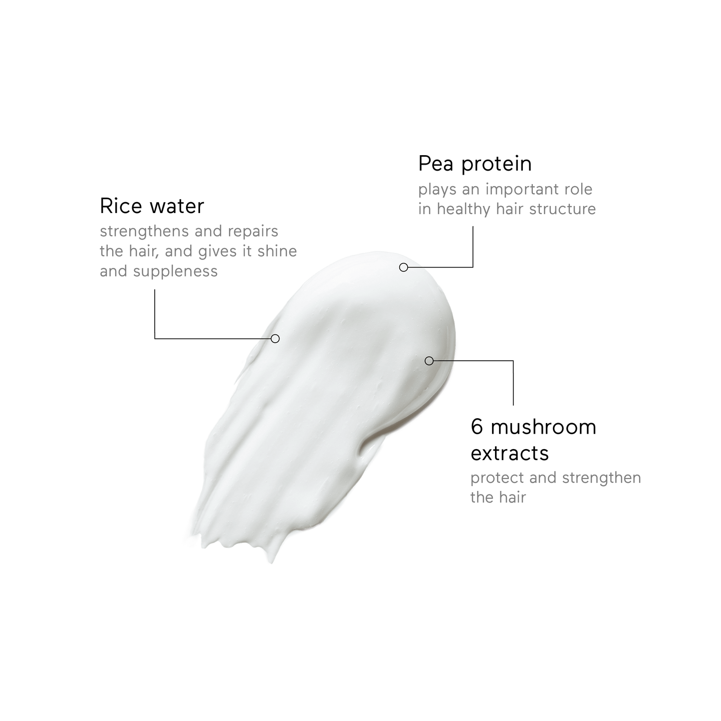 RINGANA FRESH hair treatment – Empfehlung