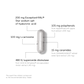 RINGANA CAPS beauty & hair – Empfehlung